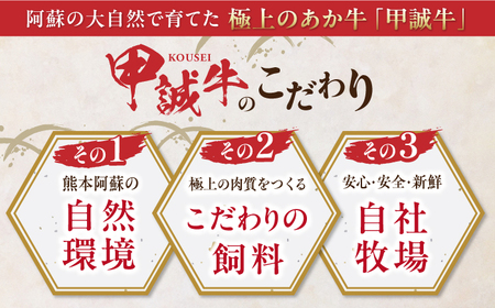 【全6回定期便】熊本和牛あか牛お土産品セット 【有限会社 三協畜産】[YCG186]