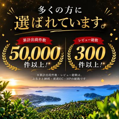 ふるさと納税 八幡浜市 【堂々たる大玉】ずっしり濃密【富士柿】6kg　愛媛県産【64-95】 |  | 01