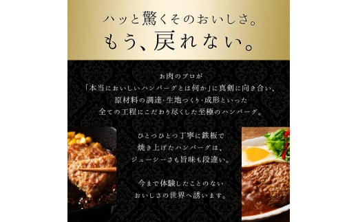 M153-0034-6_ジューシー 鉄板焼きハンバーグ 24個入り(24個×100g)