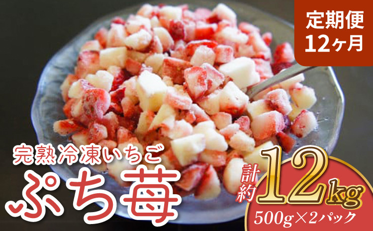 
            いちご 【12ヶ月定期便】冷凍いちご 1㎏ (500g×2パック) 【定期便12ヶ月】完熟冷凍いちご「ぷち苺」1kg 500g×2パック 園村苺園
          