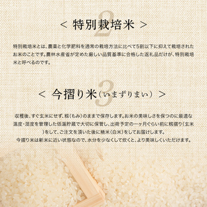 特別栽培米 ゆめぴりか（白米）5kg×2袋 令和7年産 今摺り米 NP1-408