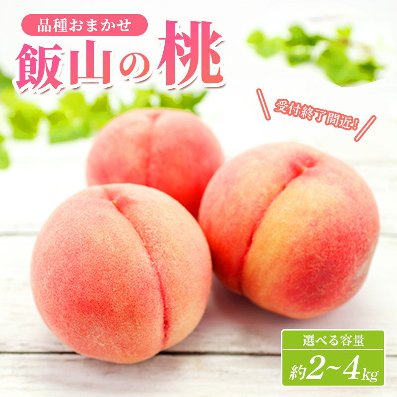 【ふるさと納税】 桃 モモ 約 2kg 4kg 白桃 ピーチ 果物 くだもの フルーツ 果実 飯山の桃 ふるさと納税 スイーツ デザート ケーキ ジュース ゼリー アイス シャーベット ジェラート ふるさと納税桃 ふるさと納税モモ 家庭用 ギフト 贈答 プレゼント 送料無料