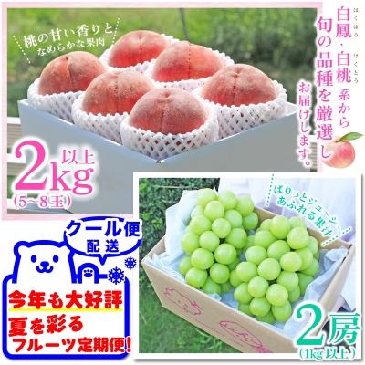 ふるさと納税 山梨市 【発送月固定定期便】2026年発送 山梨フルーツ旬の果物 桃+シャインマスカット 全2回 |  | 02