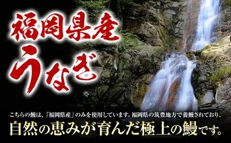★ふるなび限定★ 福岡県産 うなぎ 鰻 3尾  計330g