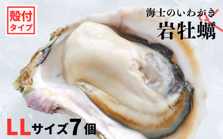 【のし付き 海士のいわがき】殻付き LLサイズ 7個 岩牡蠣 生食可 新鮮クリーミー 冷凍 牡蛎 牡蠣 かき カキ 岩牡蠣 いわがき CAS CAS冷凍 父の日 母の日 バーベキュー ギフト