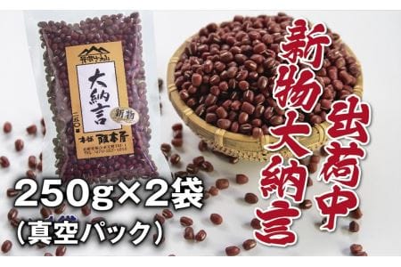 〈スピード出荷〉〈大粒 2Lサイズ〉丹波篠山産 大納言小豆 250ｇ×2袋（真空パック）大納言小豆 Y087