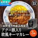 【ふるさと納税】【宜野湾市特産品推奨】アグー豚入りキーマカレー 3パック入（隠れ家レストラン　KOBAがお届け）