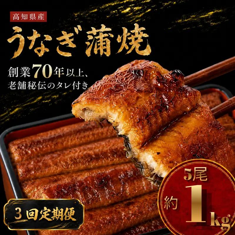 【3回 定期便】 国産 うなぎ 蒲焼 5尾 約1kg