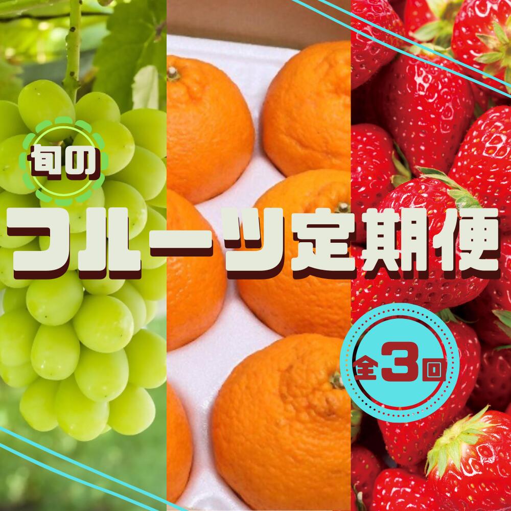 【ふるさと納税】旬のフルーツ定期便（シャインマスカット・イチゴ・不知火） 全3回 お届け シャインマスカット イチゴ 不知火 しらぬい みかん 季節 おすすめ 人気 果物 定期 大分県 豊後高田市産 ギフト 贅沢 ぜいたく くだもの 旬 お取り寄せ 定期便 送料無料