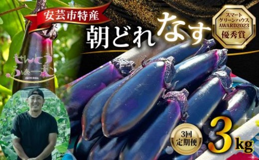 【3回定期便】朝採れナス 約3kg 茄子 ナス 国産 高知 農家直送 野菜 ベジタブル 新鮮 なす 薄皮 焼きナス 美容 健康 朝どれ 焼き肉 アウトドア BBQ 和食 洋食 中華 おかず なすび せんとうふぁーむ常温 栽培 農業 地産地消 旬 夏野菜 ヘルシー ビタミン ミネラル 食物繊維 アントシアニン ポリフェノール 料理 家庭菜園 レシピ 安芸市 高知県