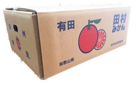 みかん 蜜柑 フルーツ 果物 くだもの / 【先行予約受付　訳あり】田村みかん 10kg サイズお任せ 【2024年11月下旬頃〜2025年1月下旬頃に順次発送】【uot717】