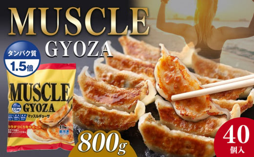 【定期便3回】MUSCLE GYOZA ~マッスルギョーザ　～冷凍餃子40個入り1袋 | 餃子 ギョーザ ダイエット マッスルギョーザ 長野県 松本市 信州産 ふるさと納税