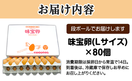 朝獲れ卵 味宝卵 (80個) 卵 Lサイズ 鶏卵 野上養鶏場《90日以内に出荷予定(土日祝除く)》