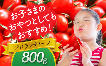 ミニトマト (フロランティーノ)800g 野菜 トマト[AEBG004]