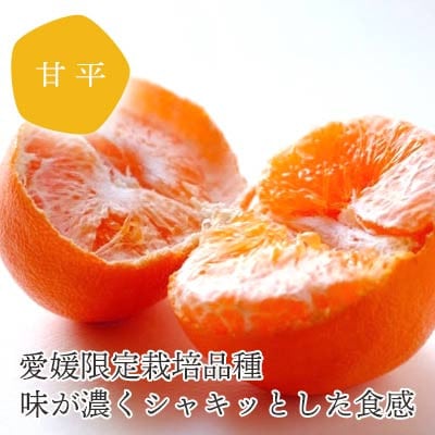 【2026年2月より順次発送】愛媛限定栽培柑橘 甘平(かんぺい)3kg【訳あり】【C25−137】【1138005】