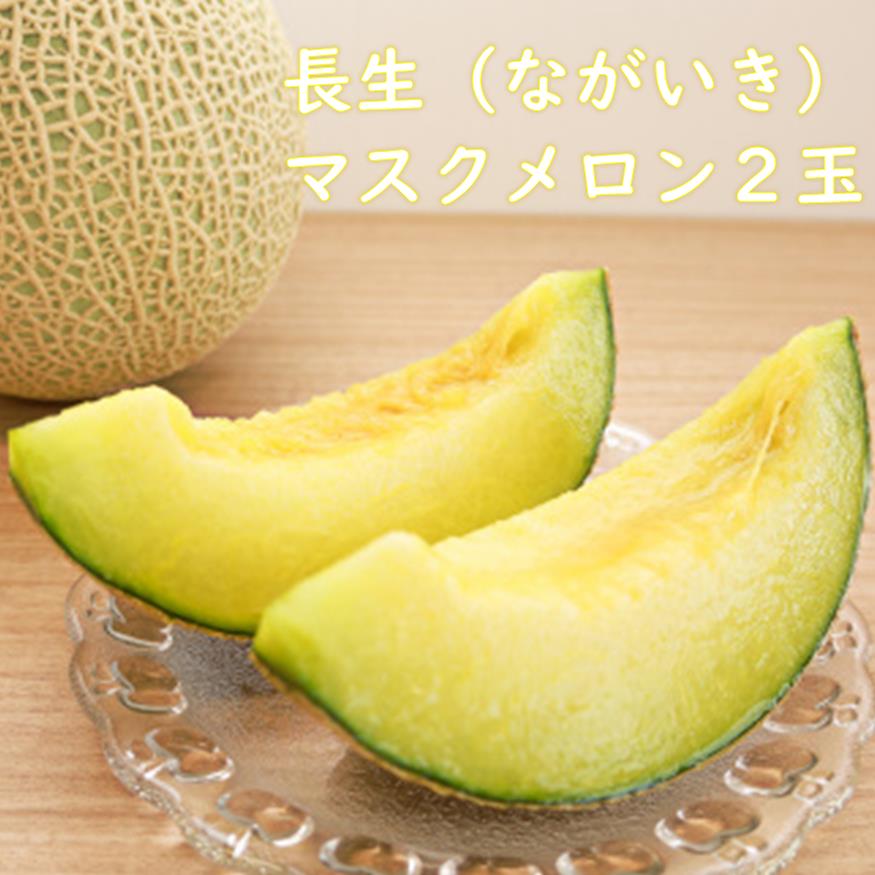 【ふるさと納税】【先行予約】長生 マスクメロン 2玉（3Lサイズ）約3.5kg　※2026年発送分　千葉県　長生郡　長生メロン　ながいき　産地　直送　数量限定　一宮