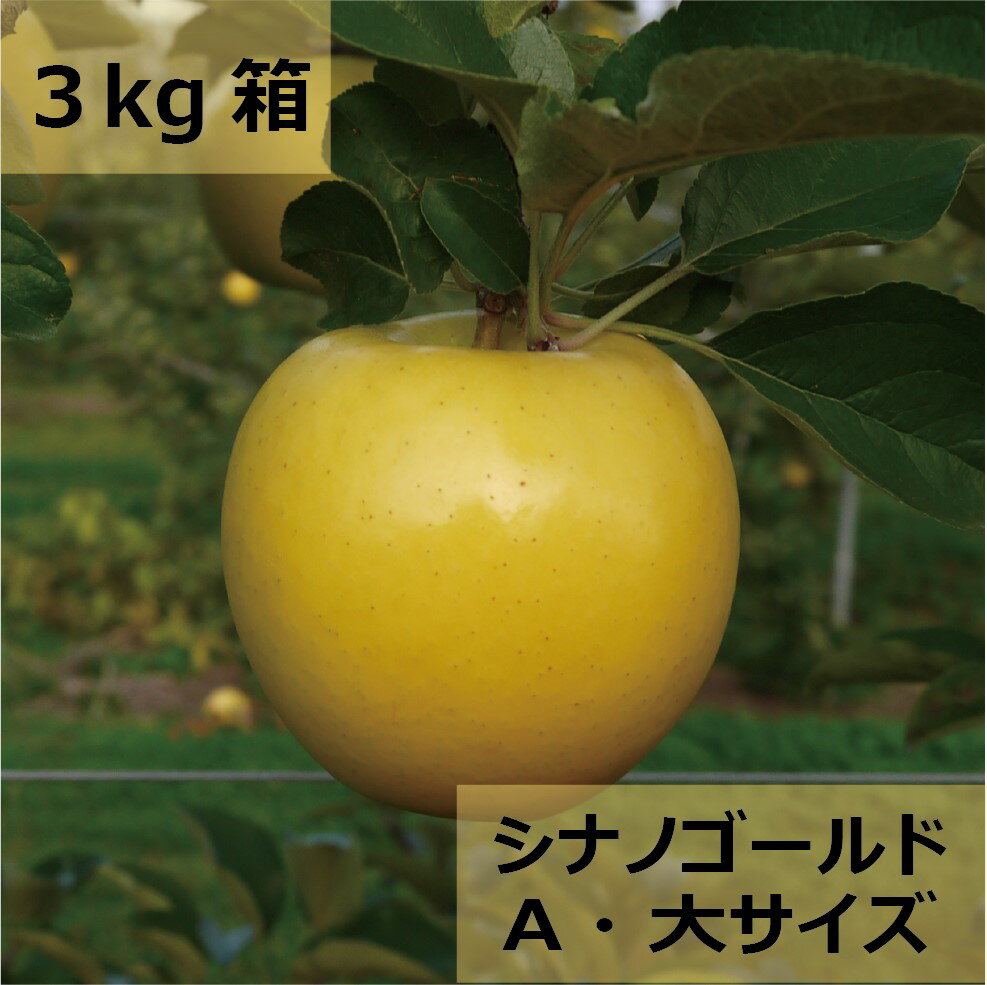 【ふるさと納税】【先行受付：2025年10月発送】【選べる】【訳アリ】信州松本のりんご「シナノゴールド」約3kg（7～12玉）or 約5kg（11～20玉）｜ふるさと納税 信州産 長野県 松本市 訳アリ シナノゴールド りんご リンゴ 林檎 果物 フルーツ くだもの