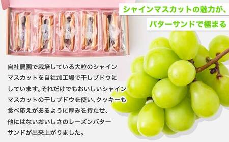 シャインマスカット レーズンバターサンド バターサンド ラムレーズン クッキー スイーツ お菓子 ぶどう 干しぶどう 大粒ぶどう 国産バター ギフト 贈答用 お土産 手作り 国産 洋菓子 自社農園 自