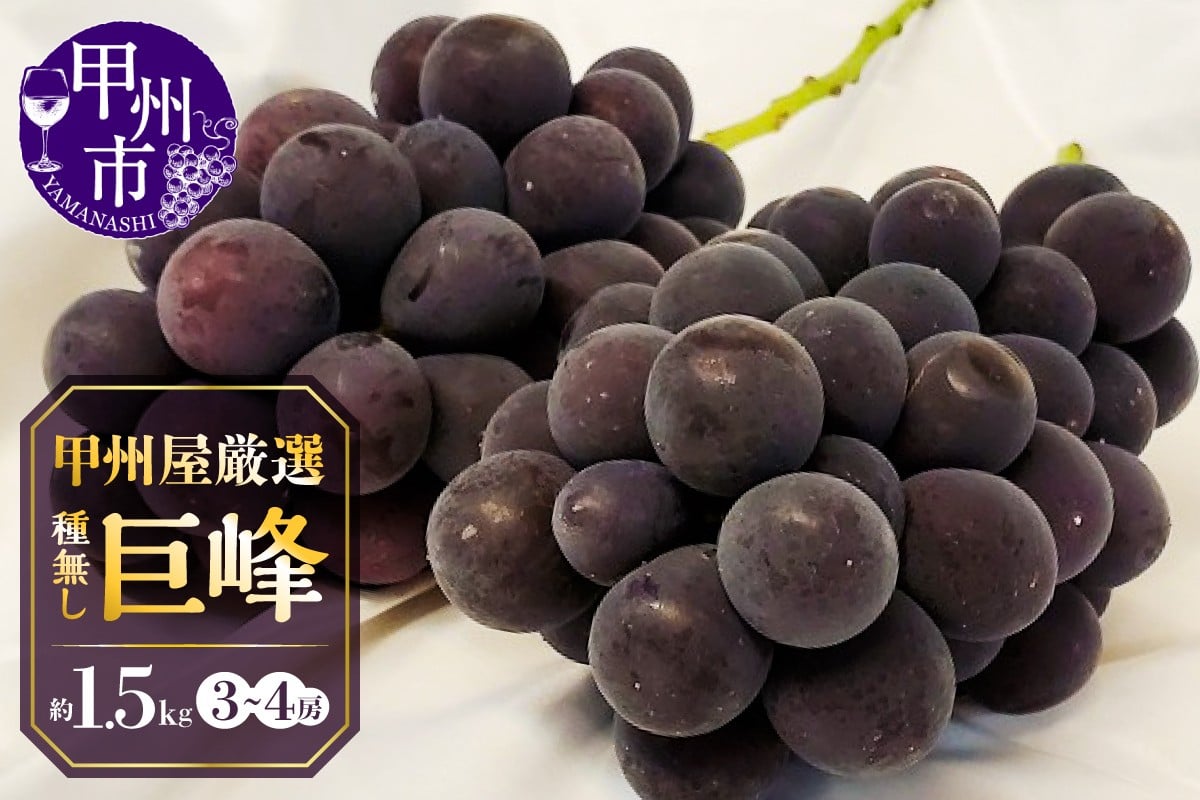 甲州屋厳選 種無し巨峰 1.5kg以上【2024年発送】