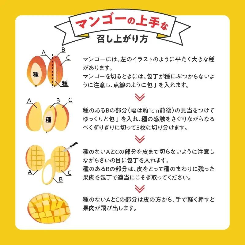 【2027年7月以降お届け】【家庭用】くるめで育った完熟マンゴー（1玉：約430～500g） 〔Fm009-01〕