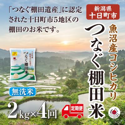 ふるさと納税 十日町市 【毎月定期便】新潟県十日町市魚沼産コシヒカリ「つなぐ棚田米」無洗米2kg全4回