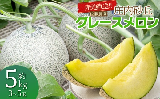 【令和9年産先行予約】産地直送！ 庄内砂丘グレースメロン 約5kg (3～5玉)　佐藤農園 K-935 | 5キロ フルーツ 果物 くだもの 夏 旬 デザート 産地直送 山形 鶴岡 庄内 東北 人気 おすすめ 美味しい 国産 お取り寄せ 返礼品