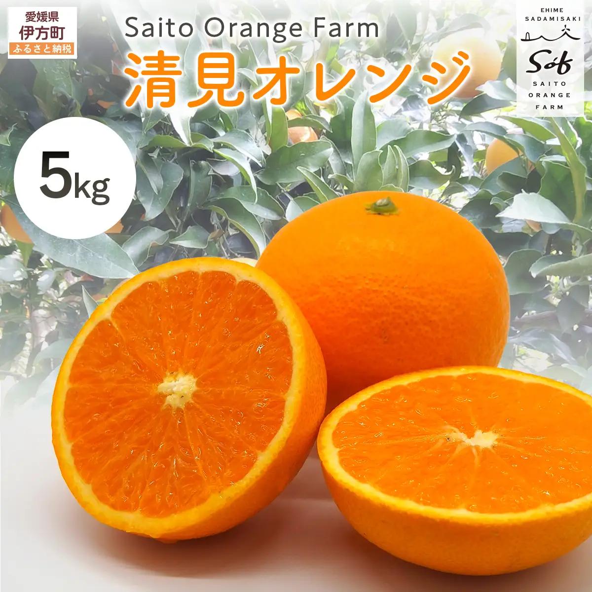 【先行予約】Saito Orange Farmの清見オレンジ5kg（2027年3月中旬頃より順次発送予定） IKTAQ007