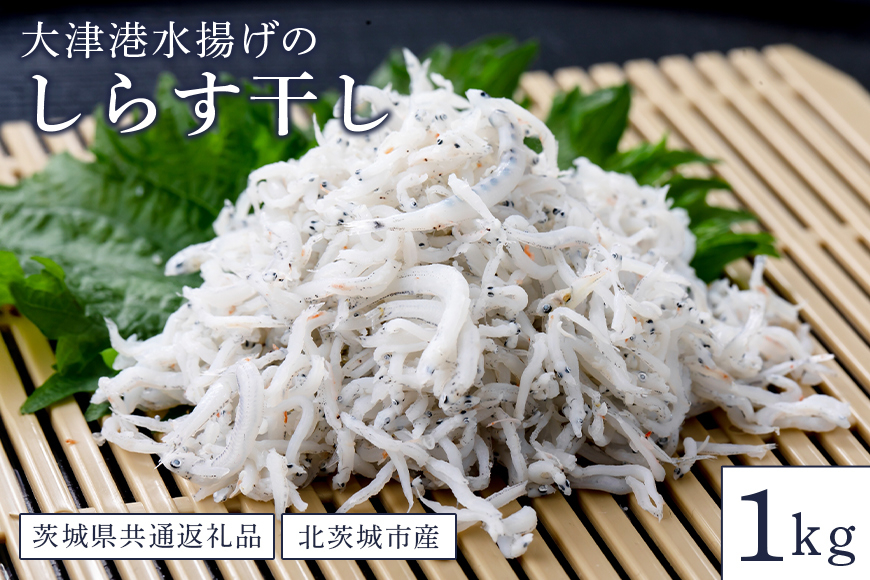 
            大津港水揚げのしらす干し １kg（茨城県共通返礼品・北茨城市産）
          