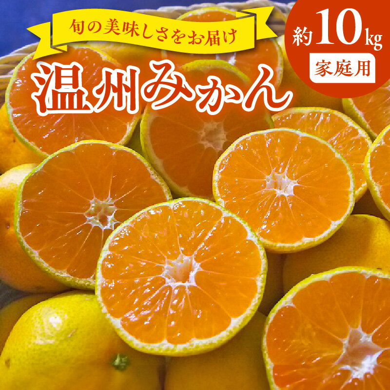 【ふるさと納税】家庭用 温州みかん 約 10kg 1箱 進栄 柑橘 果実 常温 果物 ビタミンC 豊富 みかん 旬 国産 フルーツ デザート 熊本 九州 食品 お取り寄せ お取り寄せフルーツ 送料無料【熊本県宇土市】