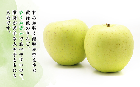 【レビューキャンペーン】≪令和8年産先行受付≫家庭用王林約3kg 青森県平川市産[hi-0038-026]