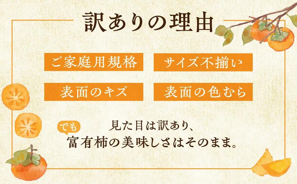 [先行予約]令和8年産 【訳あり】富有柿 3L～4L サイズ 約3kg 加藤果樹園 [mt1691] ｜家庭用 ご自宅用 わけあり ワケアリ かき 富有柿 ふゆうがき フルーツ 令和7年 カキ 果物 