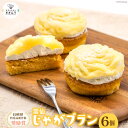 【ふるさと納税】ケーキ 雲仙じゃがブラン 6個 / パティスリーオオムラ / 長崎県 雲仙市 [item0946] 洋菓子 スイーツ じゃがいも モンブラン ジャガイモ