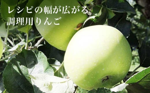 さまざまな食材と合わせることでご家庭での料理やデザートのレシピの幅が一段と広がる、今注目の調理用リンゴです。