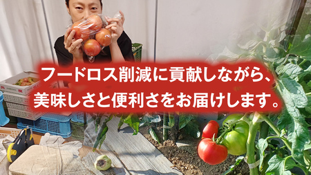 冷凍 トマトピューレ 1000g × 5パック 訳あり [AL012tu]