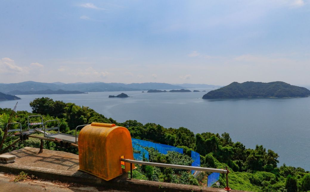 【先行予約】【数量限定】【特選】＼農園直送／愛媛県産せとか 約3kg ※離島への配送不可（2026年2月下旬より順次発送） 【ふるさと納税 人気 おすすめ ランキング 柑橘 みかん ミカン 蜜柑 せと
