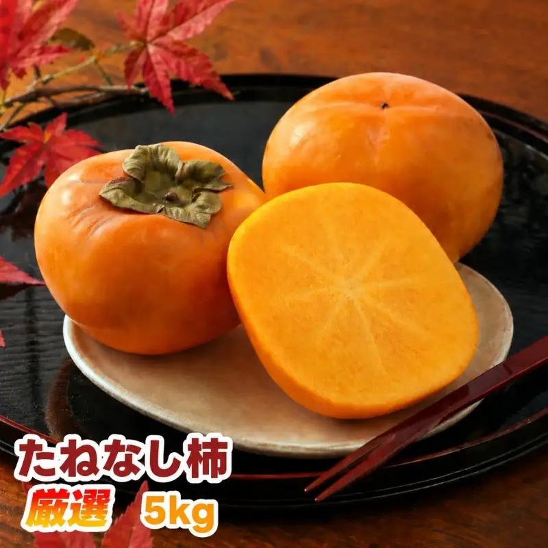 たねなし柿 5kg 厳選 / 柿 刀根早生 平核無柿 富有柿 ※2026年9月下旬から11月上旬に順次発送 ※北海道・沖縄・離島への配送不可  【ikd504-p-5】