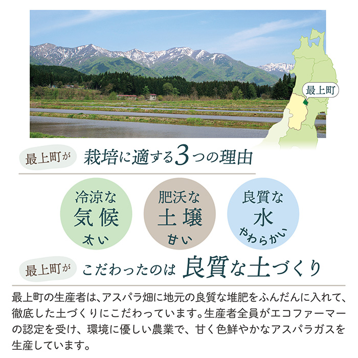 【令和8年産予約】最上町特産グリーンアスパラ2Lサイズ1kg