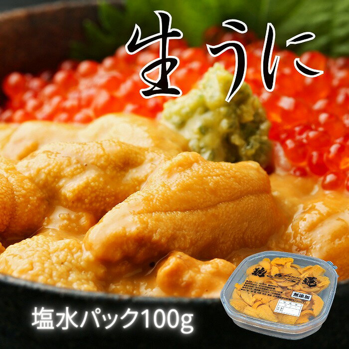 【ふるさと納税】 エゾバフンウニ塩水パック 100g 選べる 1P 2P うに ウニ 雲丹 バフンウニ エゾバフンうに 塩水 塩水うに 塩水ウニ えぞばふんうに 蝦夷バウンウニ 蝦夷ばふんうに ウニ丼 うに丼 雲丹丼 刺身 お取り寄せ グルメ 海鮮 北海道 根室市 ふるさと納税