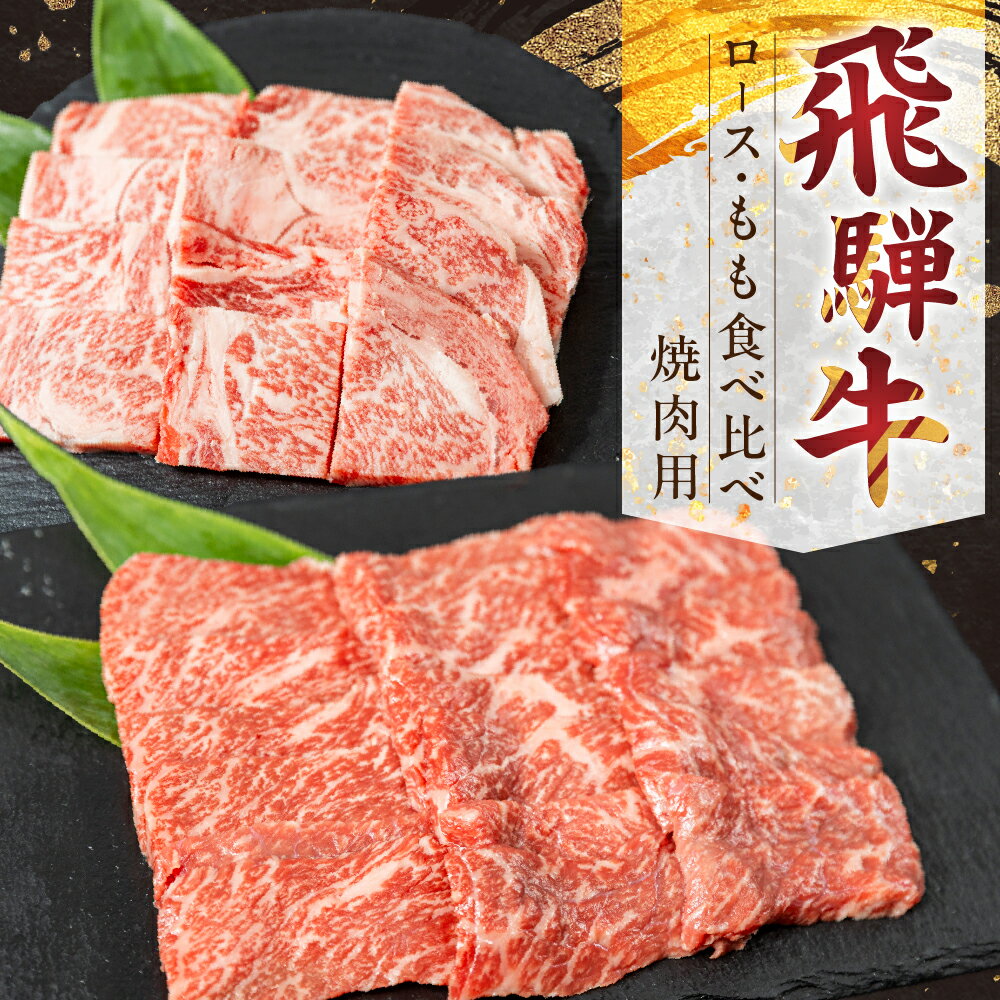 【ふるさと納税】 飛騨牛 ロース・もも 焼肉用セット 2種食べ比べ 牛肉 肉 お肉 焼き肉 セット 赤身 黒毛和牛 ブランド牛 お取り寄せ ギフト 贈答 プレゼント 山武商店 岐阜県 飛騨市 飛騨高山