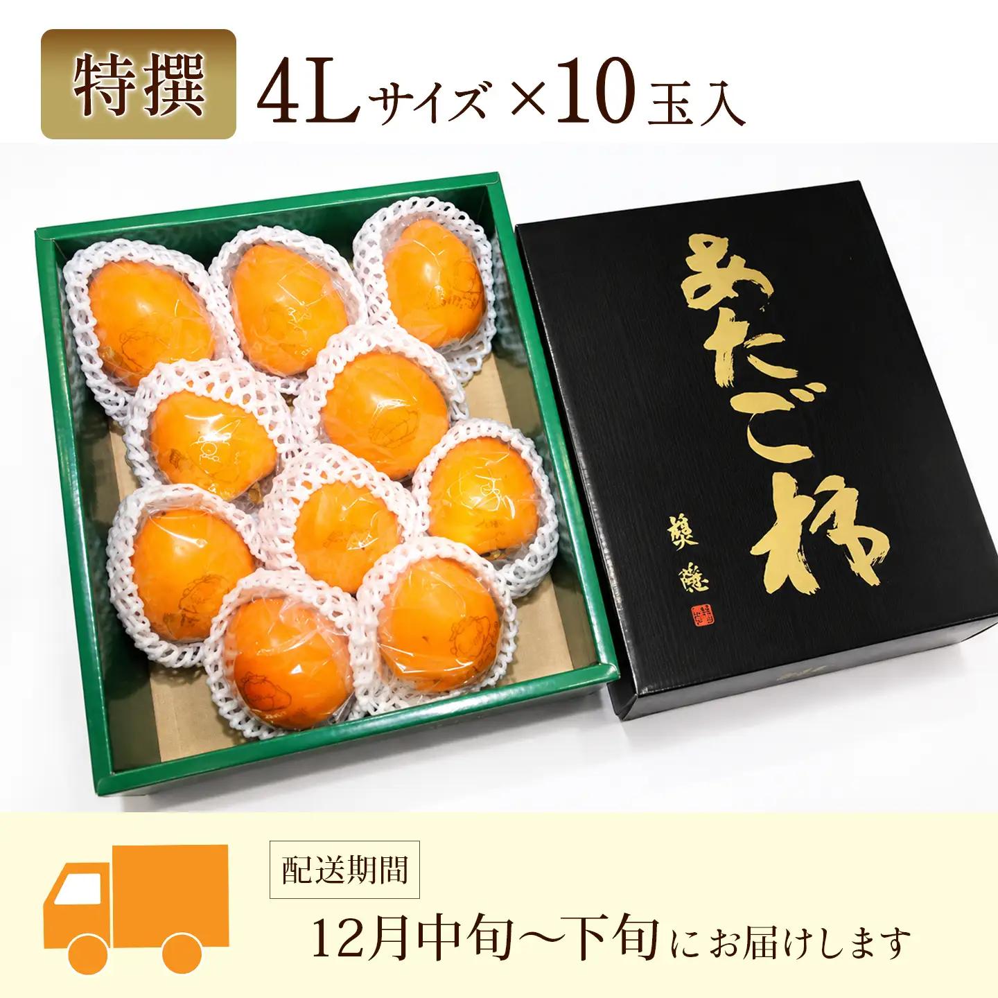 【12月発送】愛媛県西条産 「あたご柿」渋抜き柿 特撰4Lサイズ×10玉入