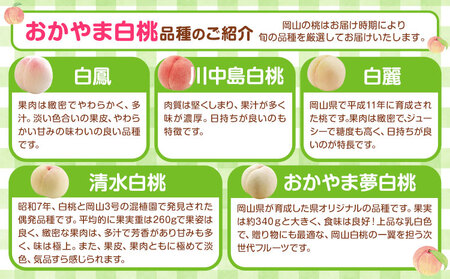 【2026年発送】岡山白桃 エース 約750g 株式会社はちや 