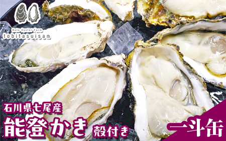 飛田水産 石川県七尾産 能登かき 殻付き一斗缶 | 牡蠣 ※要加熱 ※2027年1月～発送