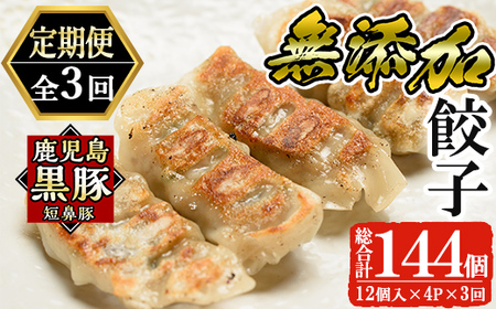 《定期便全3回》 餃子 鹿児島黒豚「短鼻豚」無添加餃子セット計144個 【鹿児島ますや】a880