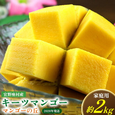 【ふるさと納税】【2026年発送】　宜野座村産キーツマンゴー「マンゴーの丘」家庭用　約2kg フルーツ 甘い 美味しい 特徴 香り お取り寄せ Mango デザート 大きい 希少 贈り物 ビタミン おすすめ 贅沢 栄養価 国産 沖縄県 人気 産地直送 送料無料