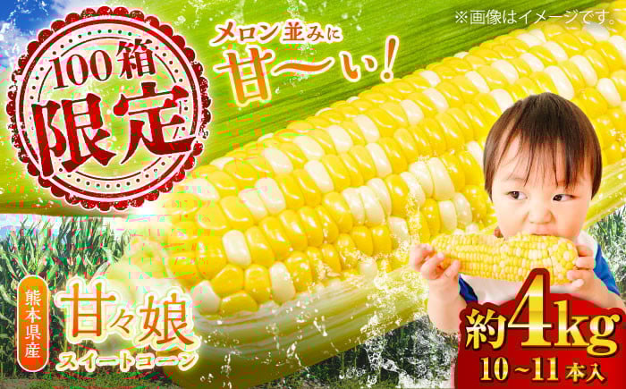 
            【6月上旬より順次発送】【数量限定】スイートコーン(甘々娘) 約4kg（10〜11本） / 高糖度 かんかんむすめ 糖度 コーンスープ 産地直送 甘さ コーン おやつ BBQ バター焼き 野菜 とうもろこし 糖度  菊陽町【なかむら農園】 [BHCJ001]
          