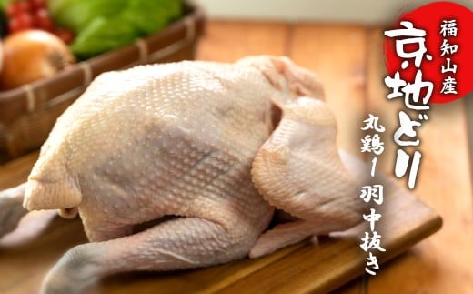 福知山産　京地どり 丸鶏1羽 中抜き 【 ふるさと納税 人気 おすすめ ランキング 鶏肉 丸鳥 丸鶏1羽 中抜き ローストチキン サムゲタン お祝い パーティ 京都府 福知山市 送料無料 】 FCP012