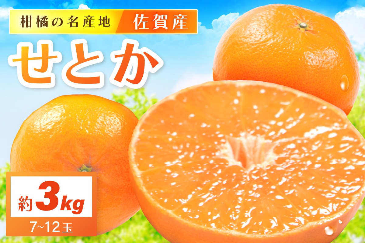 
                  佐賀産せとか 約3kg (7-12玉) (伊万里市) 柑橘類 147-B801
                