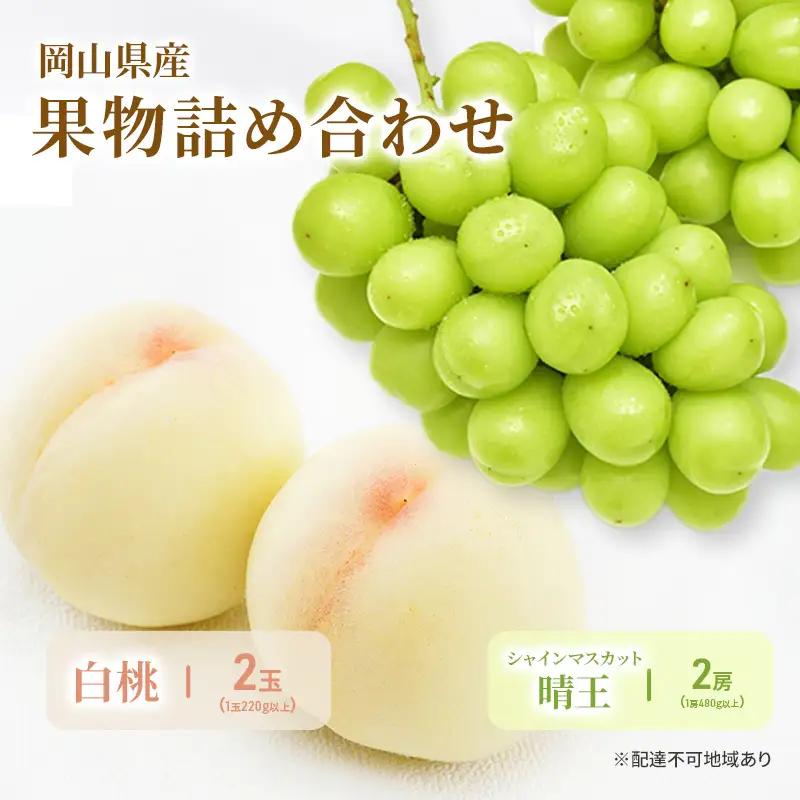 フルーツ詰合せ 白桃 シャインマスカット 晴王 岡山県産 フルーツ詰合せ【白桃2玉 ぶどう2房】【先行予約】