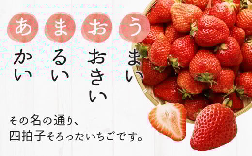 【3回定期便】【先行予約】あまおう 等級DX 約560g 約280g×2パック