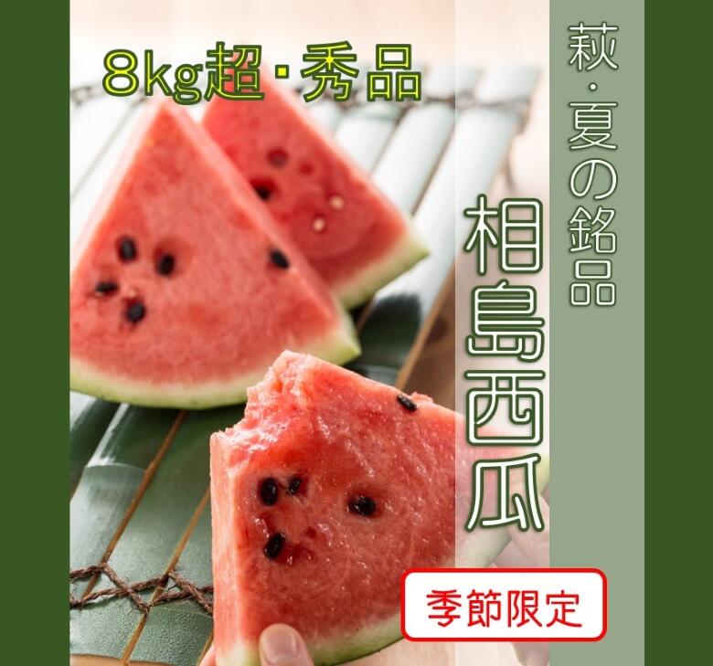 【ふるさと納税】【352047000399】スイカ 約8kg 萩・夏の銘品 相島 西瓜 秀品 大玉すいか フルーツ 果物 果物類 贈答品 ギフト
